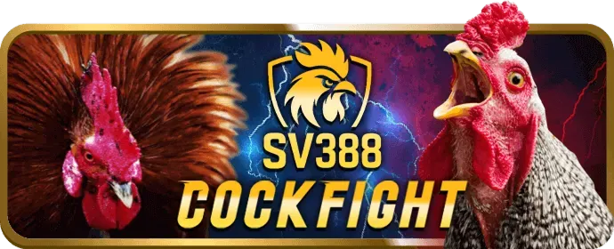 Đồ họa các chương trình khuyến mãi casino với tiền thưởng và chip vàng